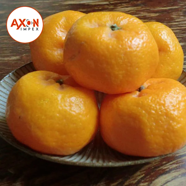 
New Year 2020 Special Offer - Mandarin Kinnow Citrus 