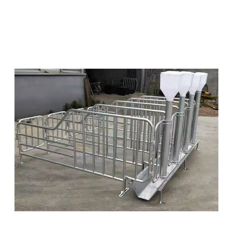 Pig gestation crate hog control regulations low price pig pen farming equipment hot galvanized steel crates for sale (1600477931060)