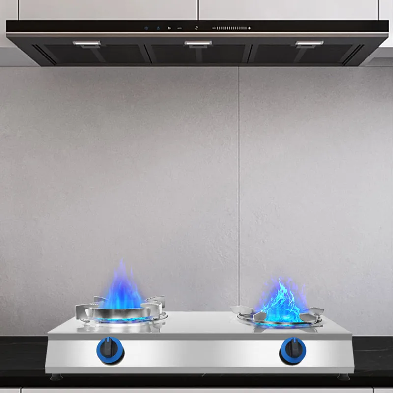 Household stainless steel biogas burner cooker double cooktop