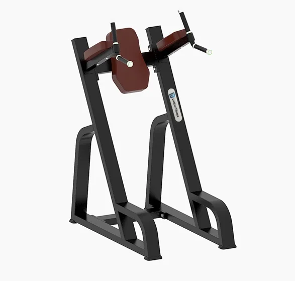 New Free Weight Bench Vertical Knees Up Dip Lanbo FITNESS Oval Tube Dip Station