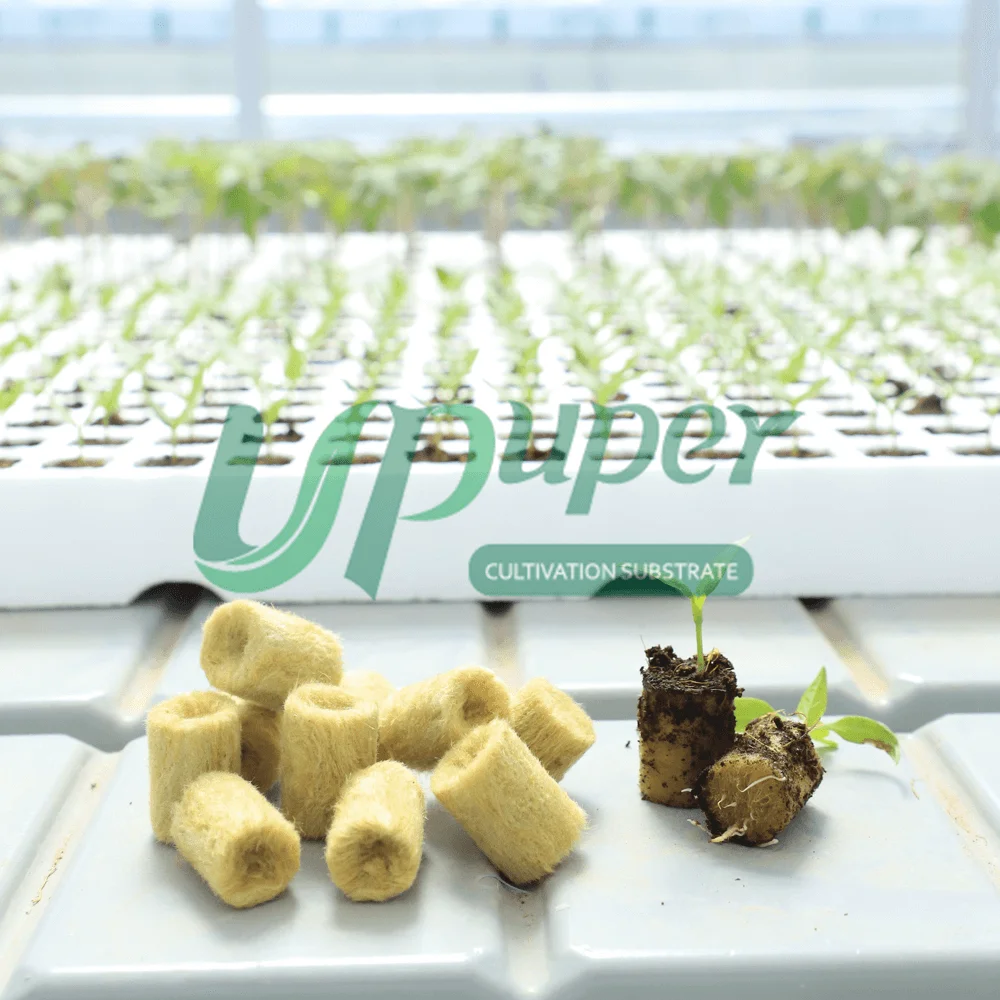 UPuper greenhouse sweet pepper propagation hydroponic seed planting rock wool starter plugs
