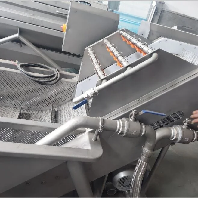 Fruit and Vegetable Air Bubble Washing Machine Eggplant Vegetable Washer Machine with Water Spray