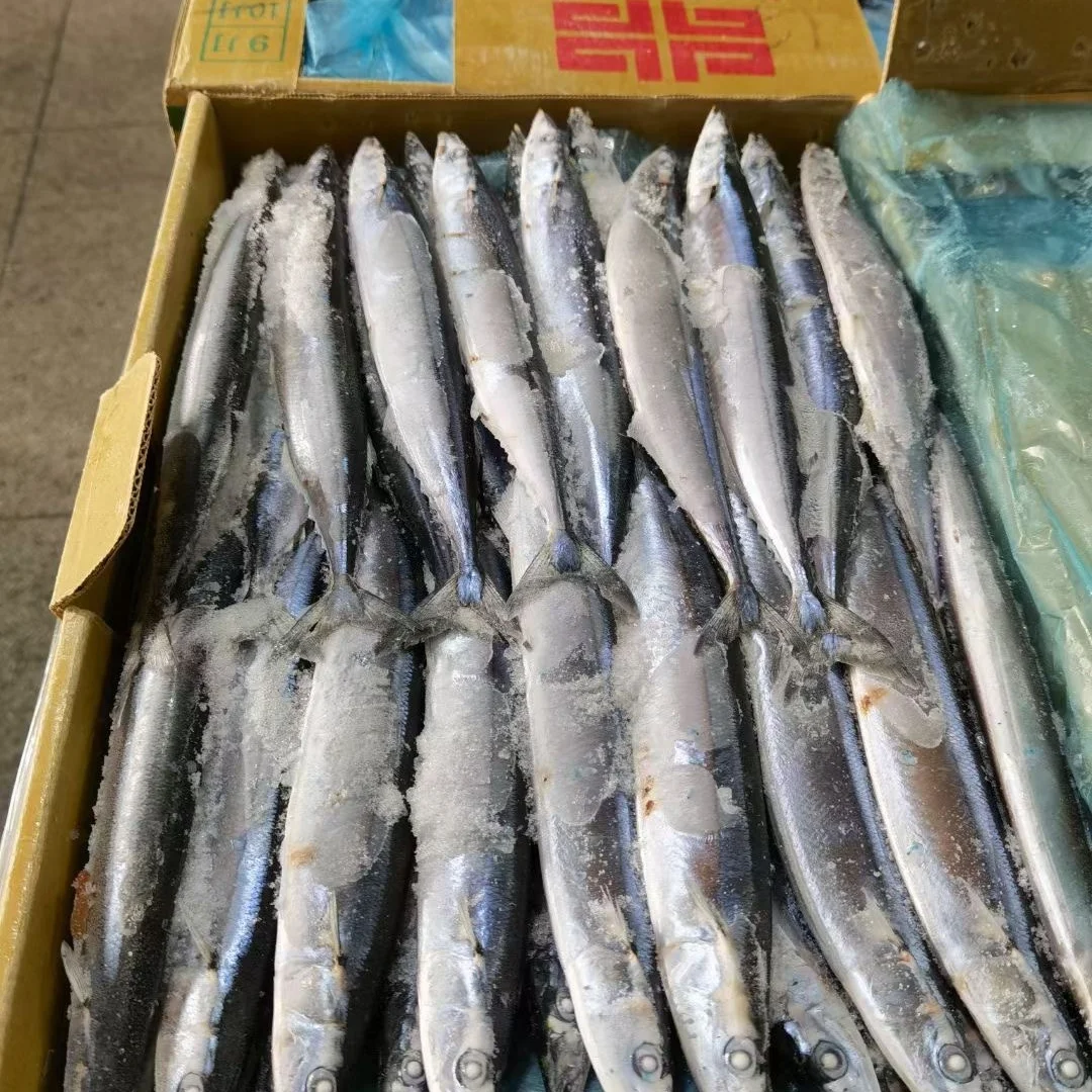 Frozen Seafood Pacific Saury Whole Round 80 G ~ 100 G Big Size W/r Seafrozen Cololabis Saira Sanma Fish BQF Bulk Freezing