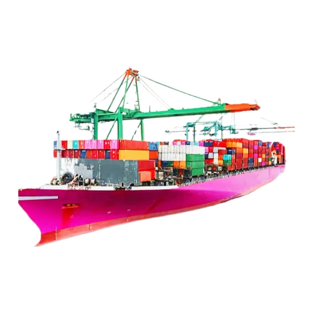 FCL LCL Sea Shipping Service Delivery Sea Freight From China To UK France Spain New Zealand Fiji Australia Germany DDP