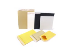 8x8 Padded Envelope Japan Melbourne Philippines South Africa Sri Lanka Toronto,Cold Chain Padded Envelope