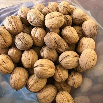 
Good Quality Raw Walnut in shell 