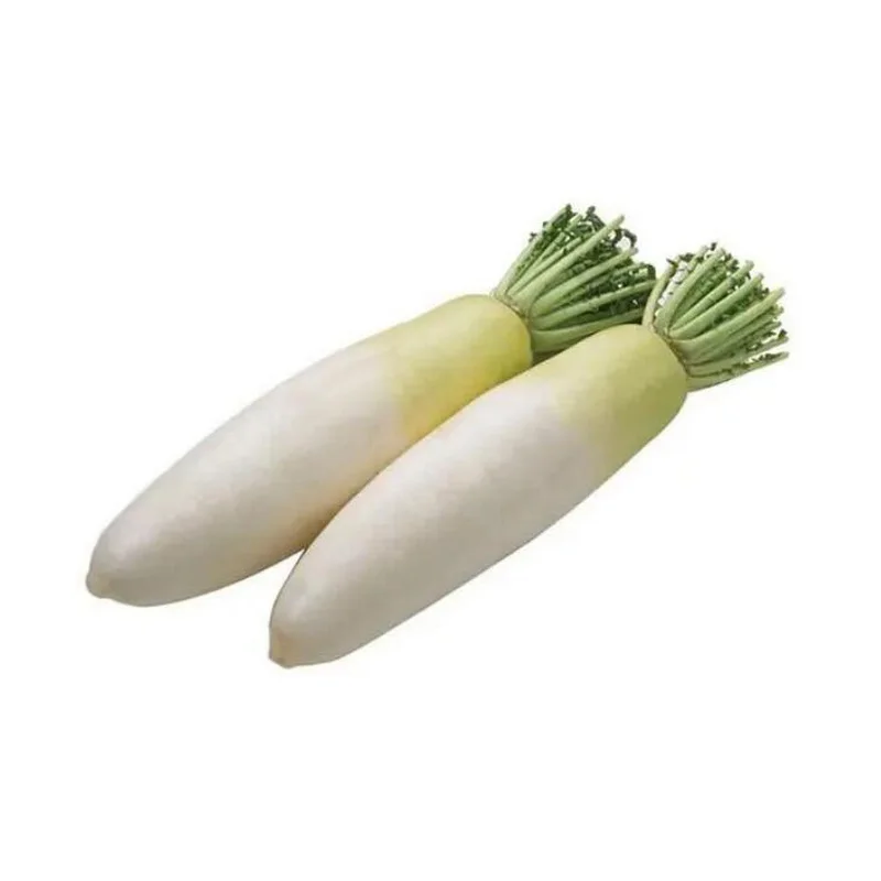 Other fresh vegetables of white daikon radish