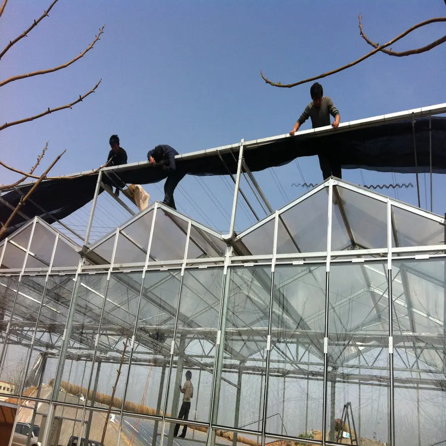 Glass vegetables greenhouse fittings