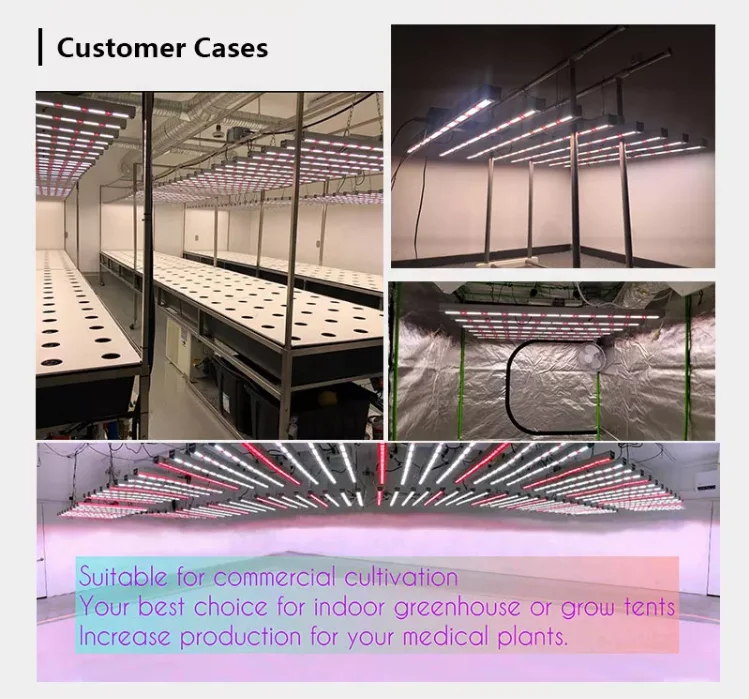 Shenzhen Led Grow Light Customized 600w Grow Lights Full spectrum LED Grow Lights for Indoor Plants Growing Flower Stage Seeds