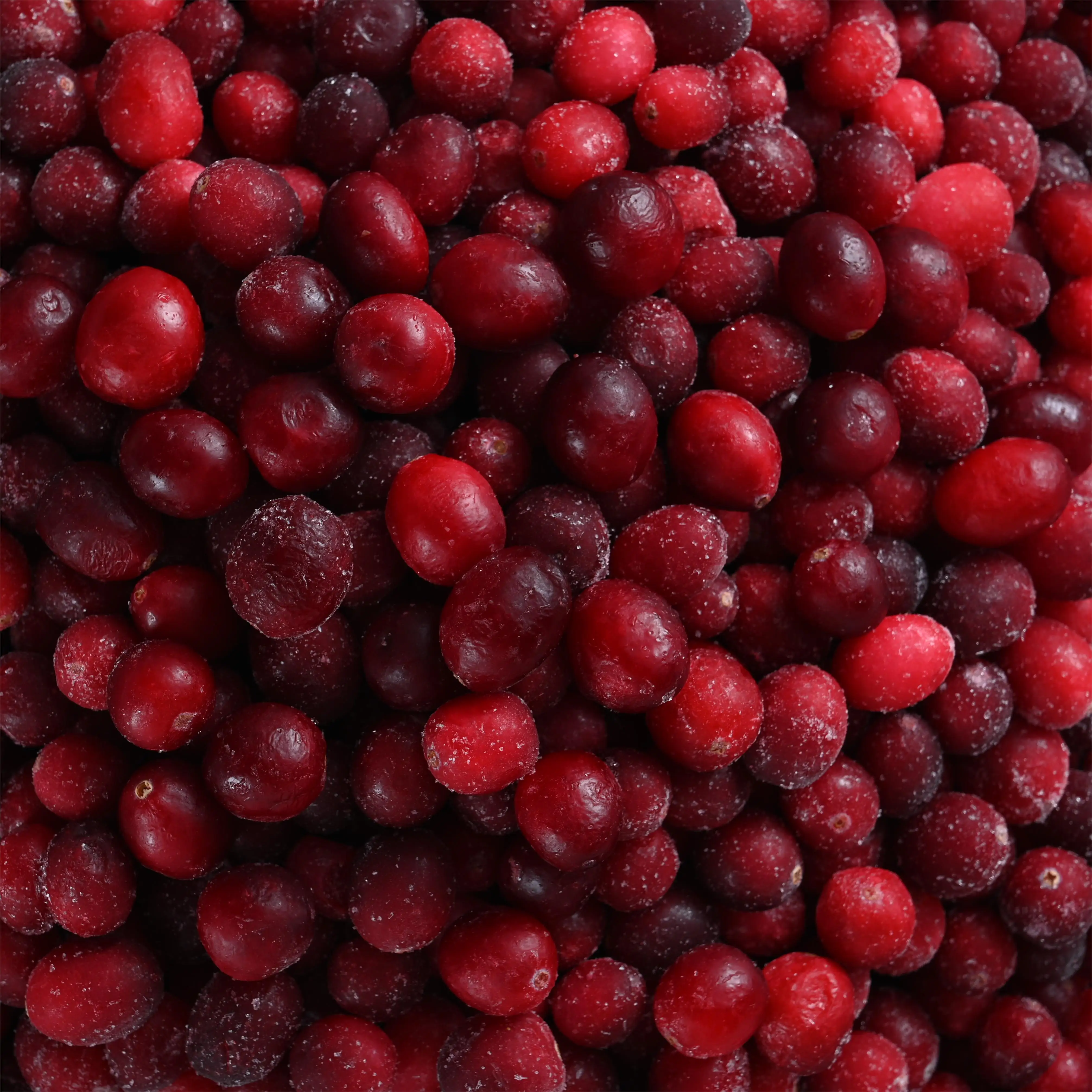 factory direct export frozen cranberry wholesale frozen cranberries