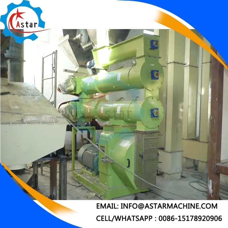Professional Design Chicken Animal Poultry Feed Pellet Processing Plant