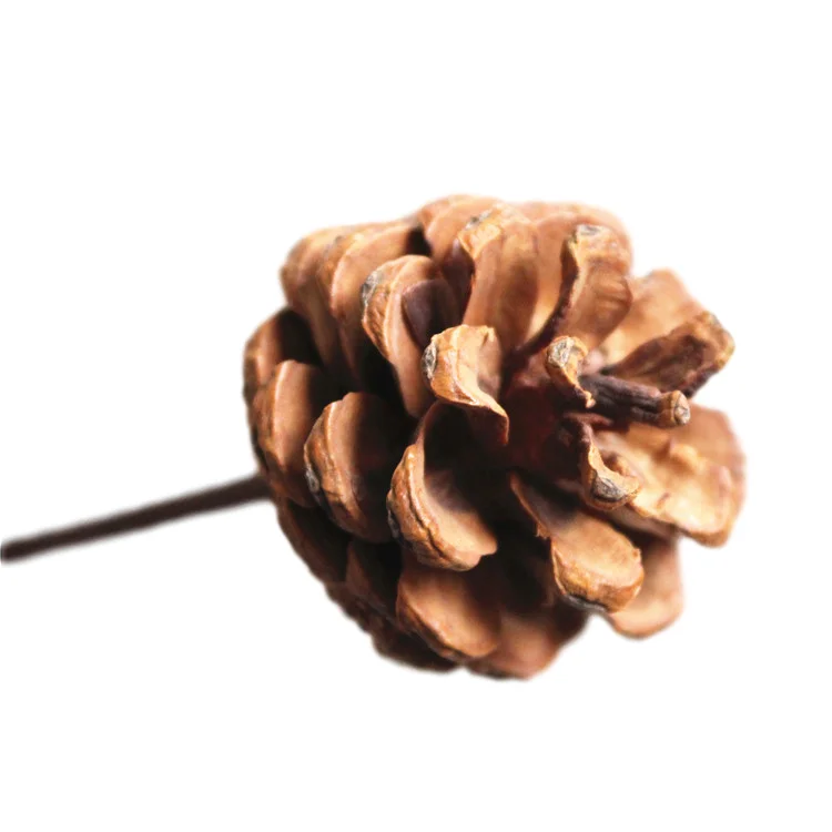 Handmade Wooden Dry Flower Combination with Pine Cone Rod Dry Flower Stocking Shape Customizable 5cm to 40 cm Home Decoration