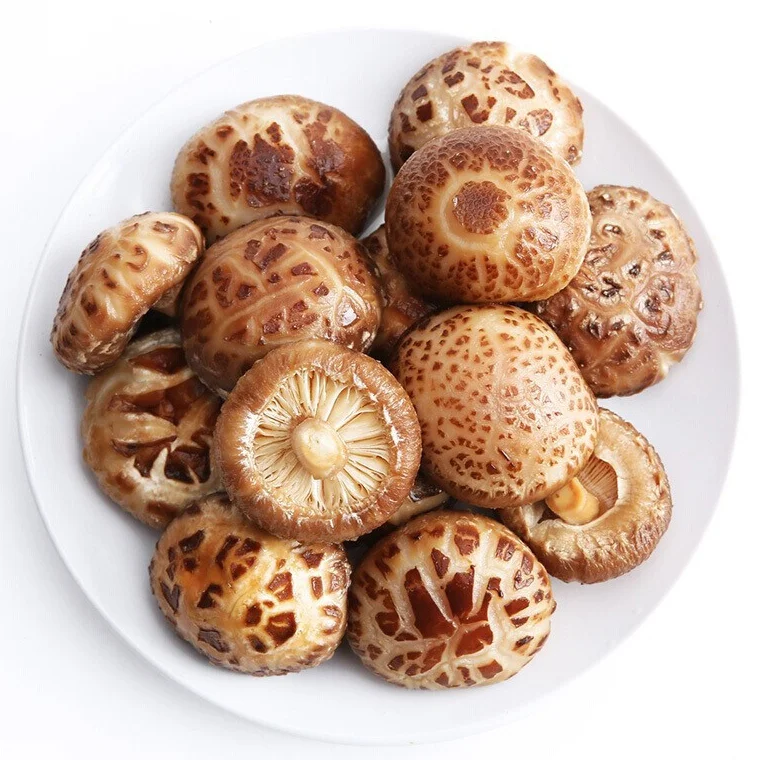 Delicious and golden in color dried shiitake mushroom
