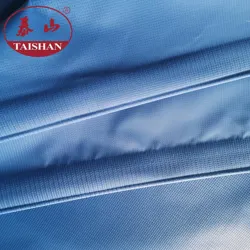 Огнеупорный ПВХ ламинированная ткань брезент