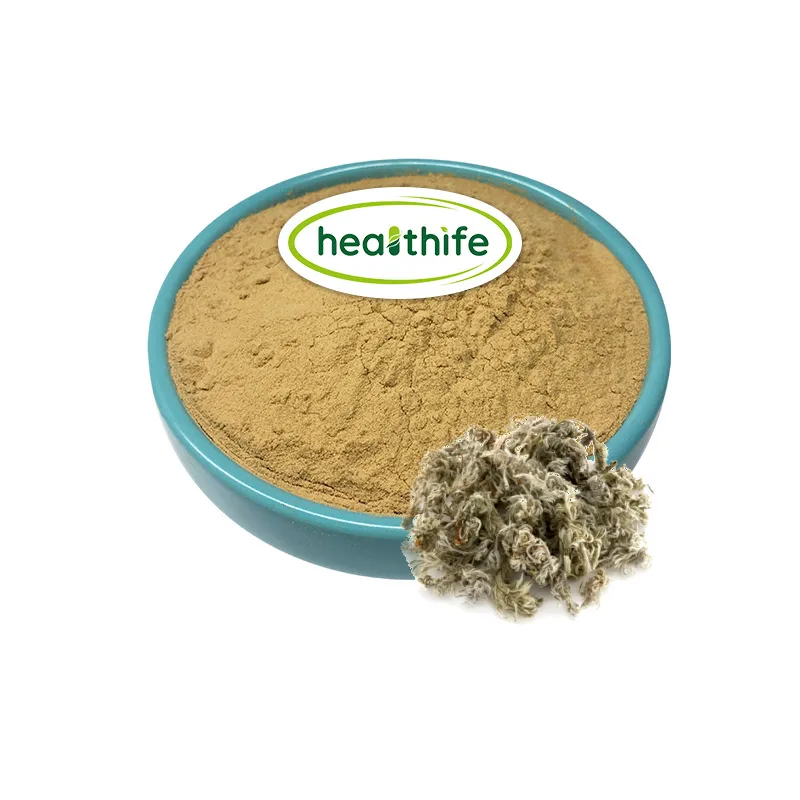 FocusHerb Artemisia Capillaris порошок 10:1 экстракт капиллярной полыни