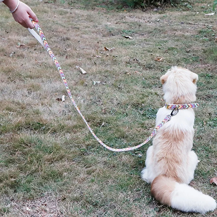 Manufacturer Pet Leashes Strong Large Extendable Custom Luxury Leather Dog Leash