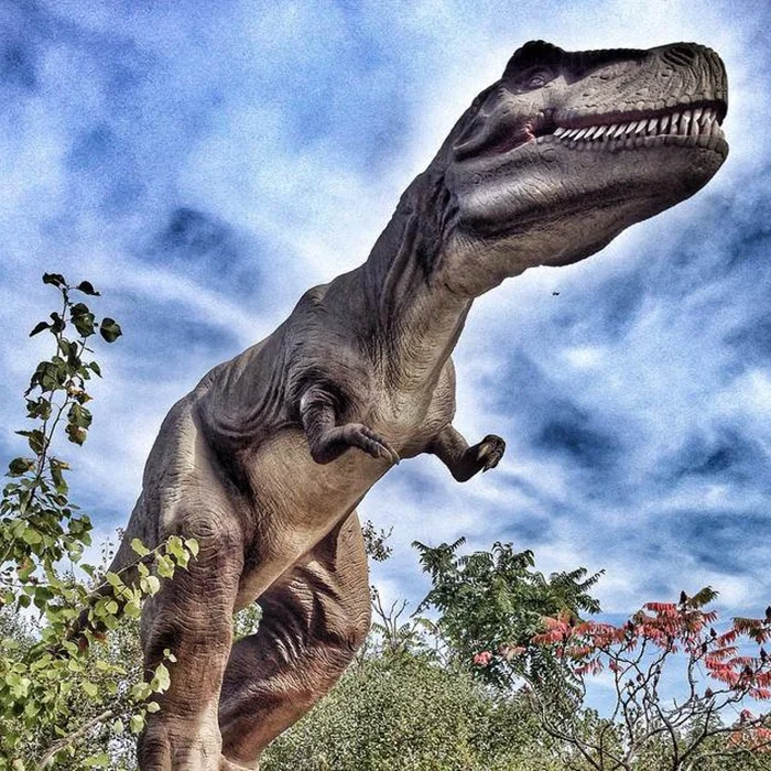 2019 6M Hot Robotic Simulation Animatronic Dinosaur for Sale