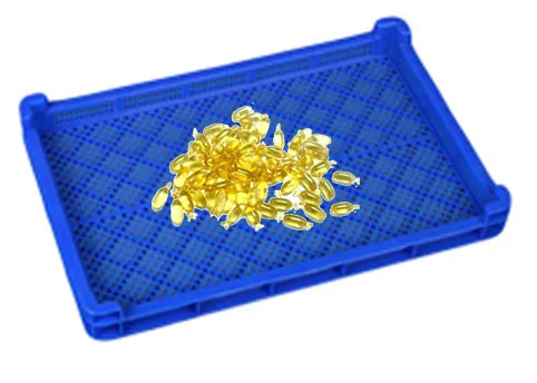 
New type fruit/mushroom/vegetable/drugs /sea cucumber plastic drying tray 