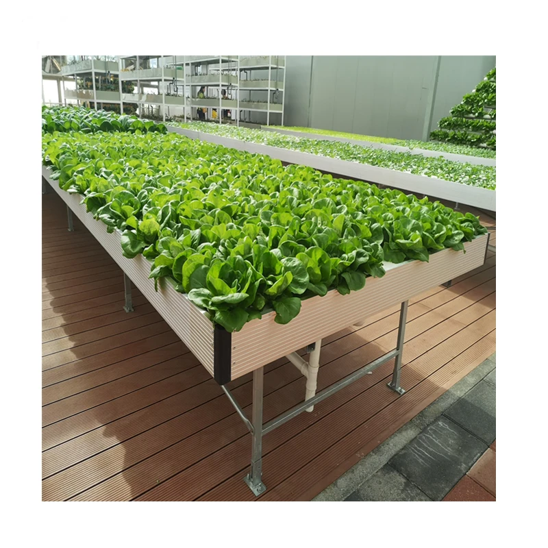 Hydroponics Greenhouse Movable Ebb and Flow Tray Rolling Bench Plants Grow Table for Microgreens/Lettuce/Herbs/Vegetable