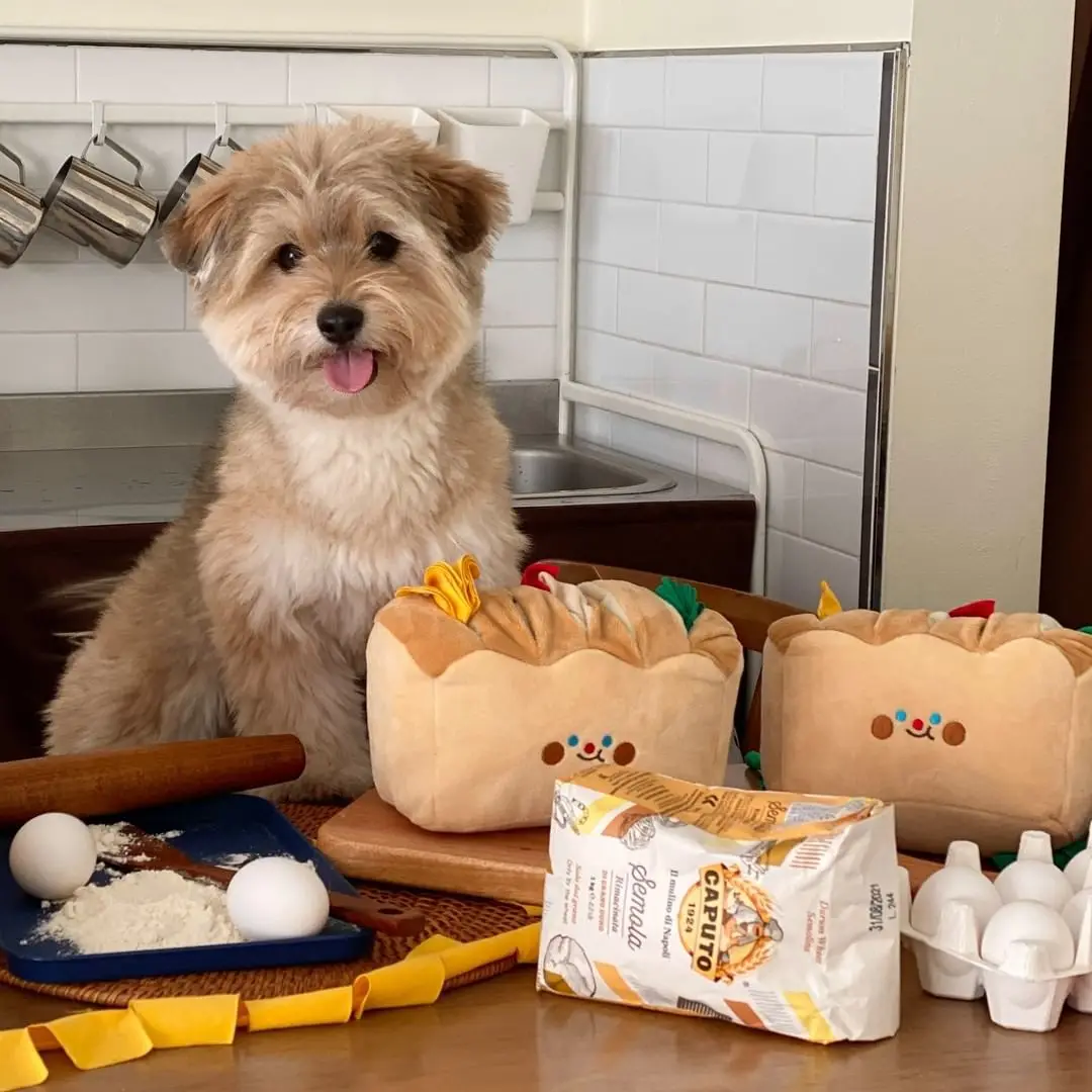 Ins Korean Pet Seek Food Sniffing Paper Bread Toast Dog Plush Toy Hide and Seek