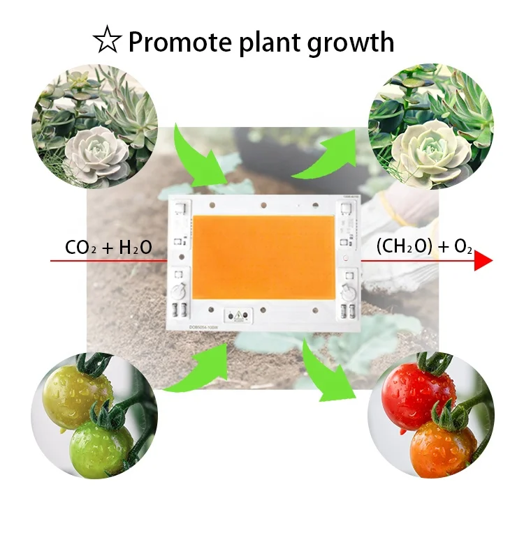 Driverless Smart IC Chip 100W 150W COB DIY Indoor Plant Seedling Grow lamp full spectrum chip cob 50w 220v