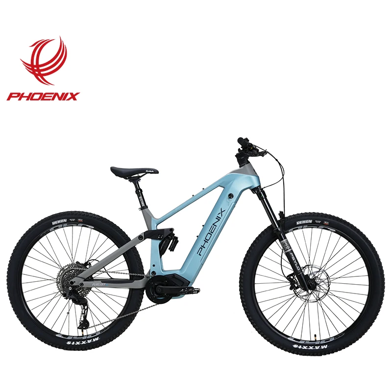 Phoenix Carbon Fiber Frame 11 speed 250W E bike 100NM eBike Central Motor Electric Bicycle
