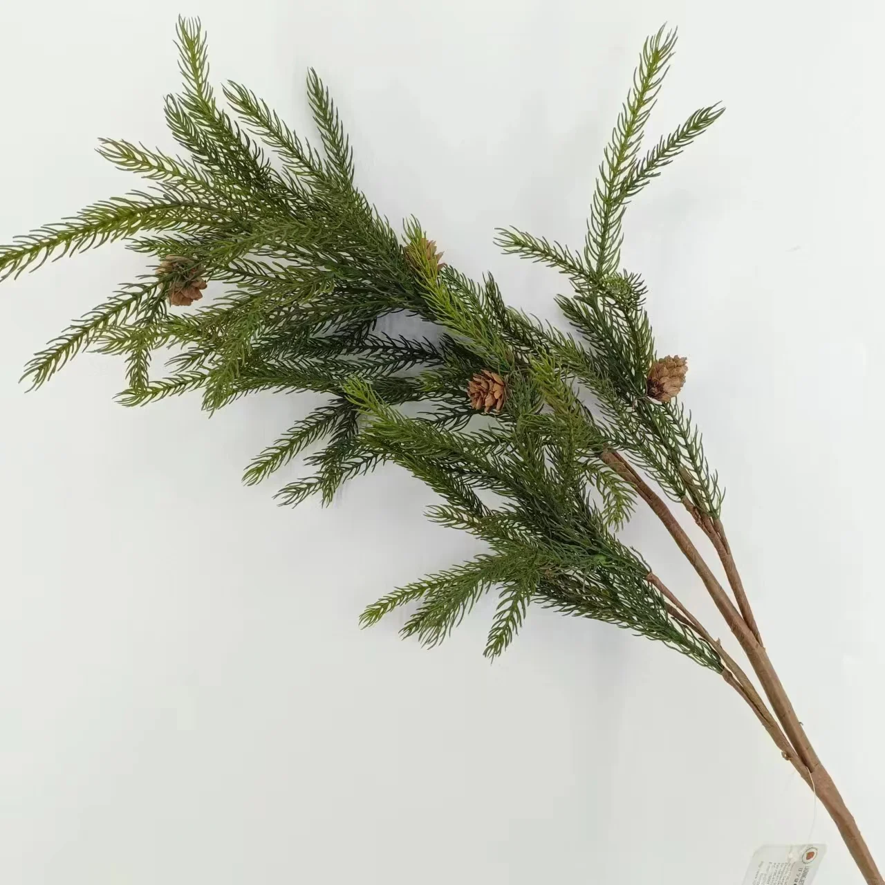 Factories wholesale Norfolk pine  stems