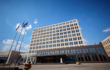 Горячая Продажа Лучшее качество Китайский орех и ядро грецкого ореха