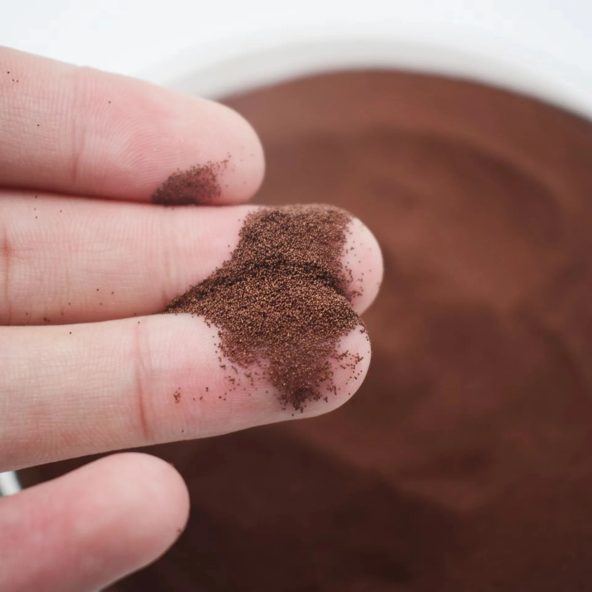 95% hatch rate Artemia Cysts (Brine Shrimp Eggs) artemia eggs