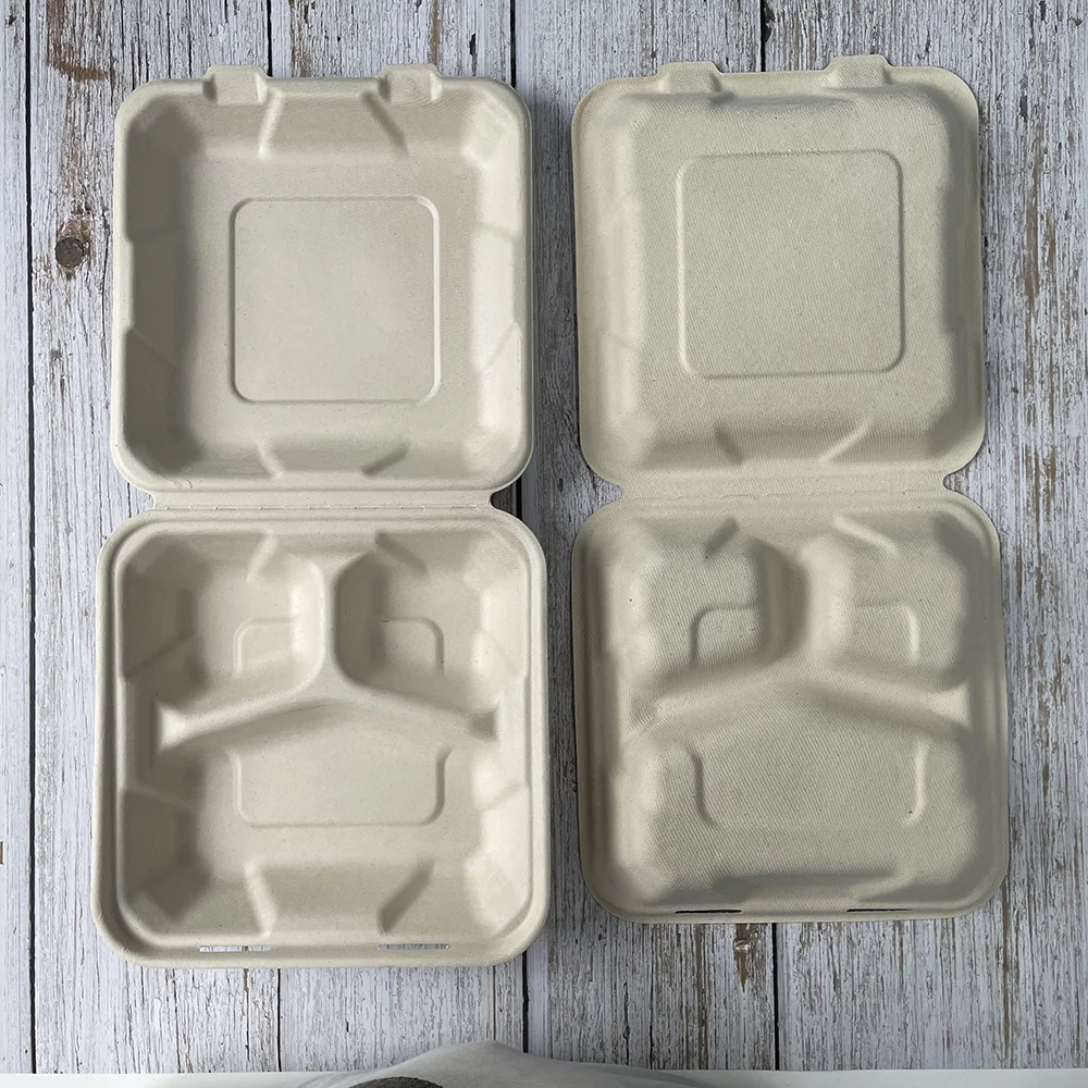 3 Compartment Clamshell 8 inch 9 inch Lunch Box Biodegradable Sugarcane Bagasse Tableware Lunchbox Food Containers