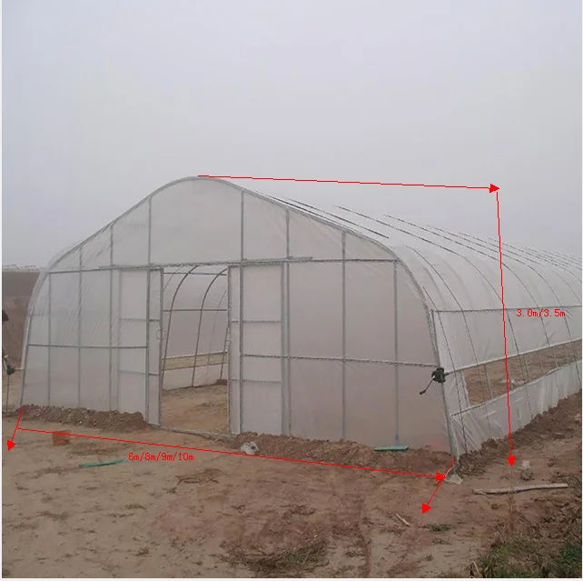 Good Quality And Easily Installed Single  span  Agricultural/Commercial PE Film  Tunnel  Green House
