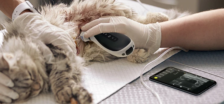 Petiro MX9V Portable Ultrasound Handheld Machine Veterinary Ultrasound Scanner Veterinary For Pregnancy Ecografo Veterinary