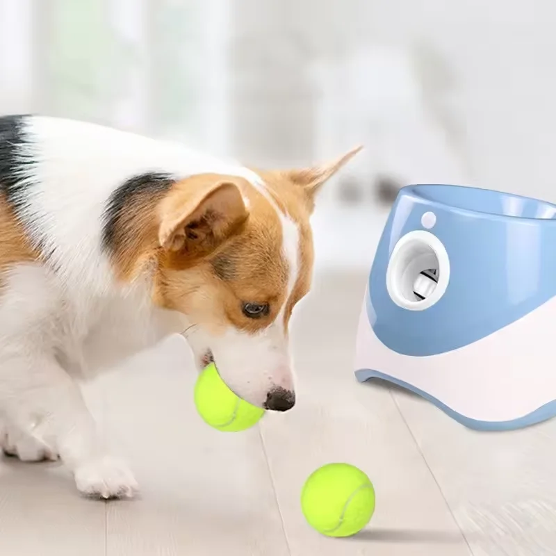 Outdoor Interactive Throwing Ball Training Toys Pet Dog Automatic Tennis Launcher For Small & Medium Dogs