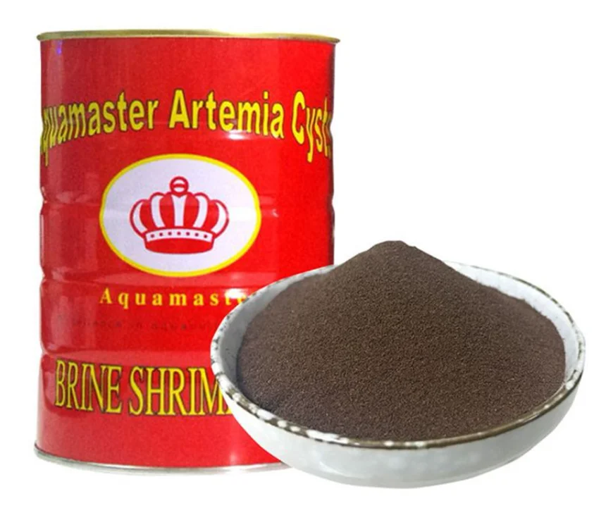 Заводская поставка супер качество bhai bbs Artemia Cysts рассол яйца креветок