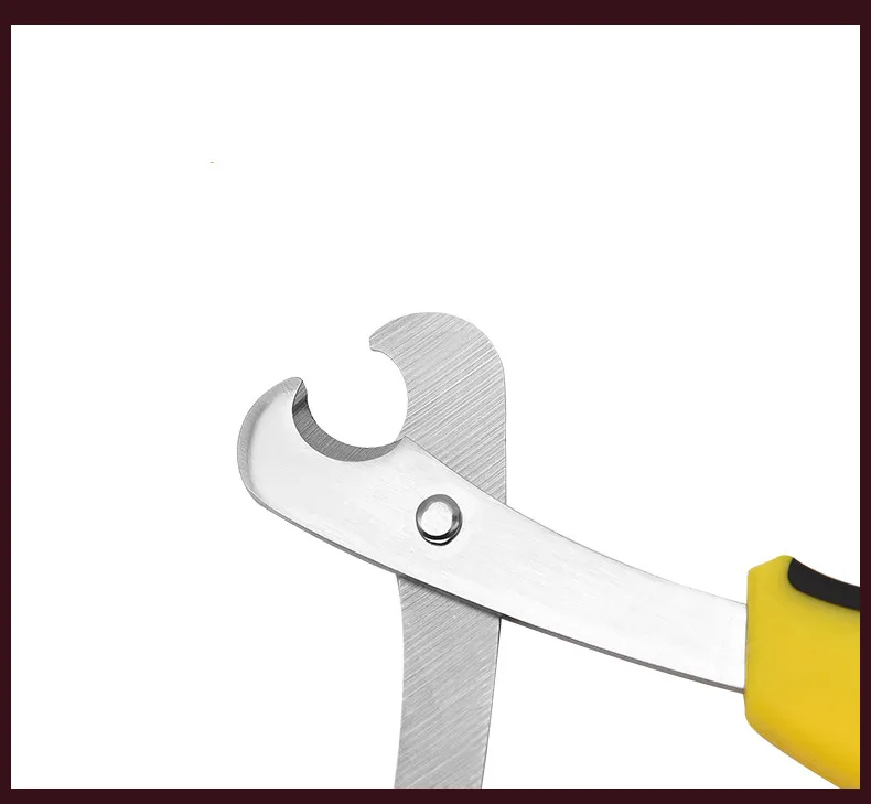 Promotion of various professional pet supplies cleaning beauty non-slip handle pet scissors set