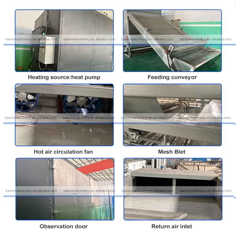 Tunnel Continuous Fruit Dehydrator Mesh Belt Dryer Cotton Drying Machine