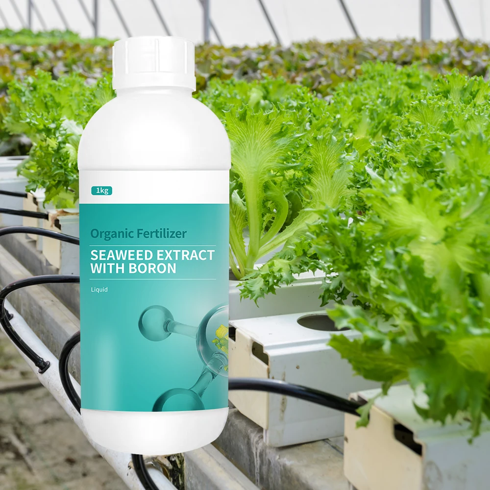 Water-soluble boron fertilizer to quickly replenish boron element seaweed boron