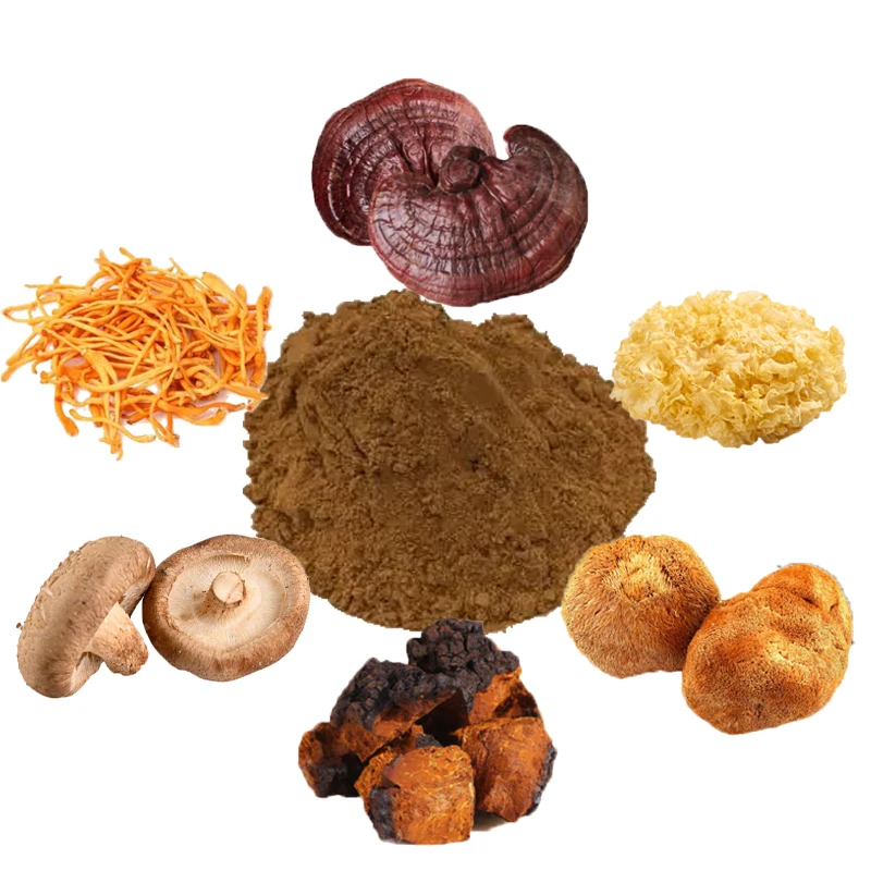 Mushroom Polysaccharide Powder Blend Lions Mane,cordyceps,reishi,chaga,Shiitake,Tremella Extract 6 in 1