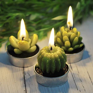 26g Custom Design 6 Pack Set Succulent Green Plants Mini Cactus shaped Carved Candles