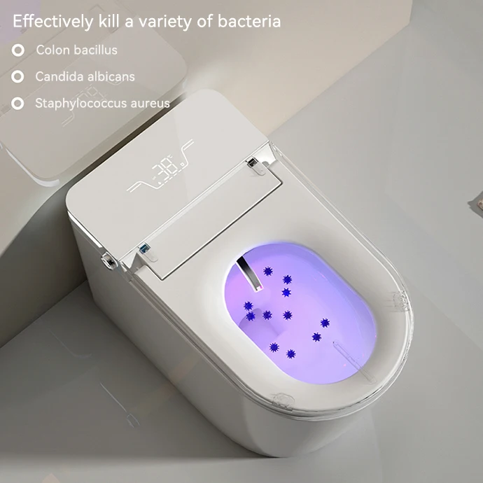 Hot Sale Bathroom Wc Sanitary Ware Items Intelligent Toilet Bowl Auto Sensor One Piece Bidet Toilet Automatic Smart Toilet