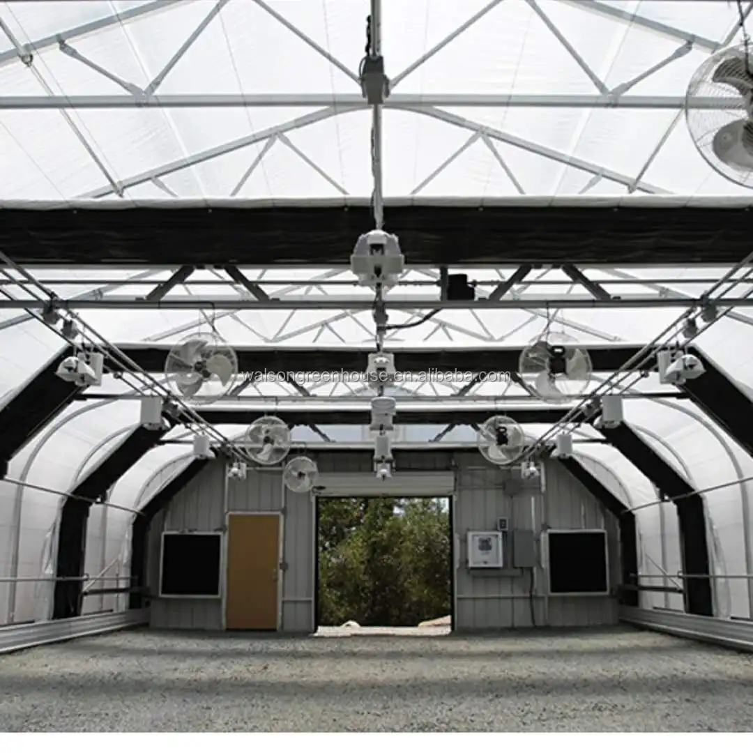 Walson PO /PE Plastic 150/200 Micron Film Single Span Film Tunnel Solar Greenhouse For Tomato and Cucumber