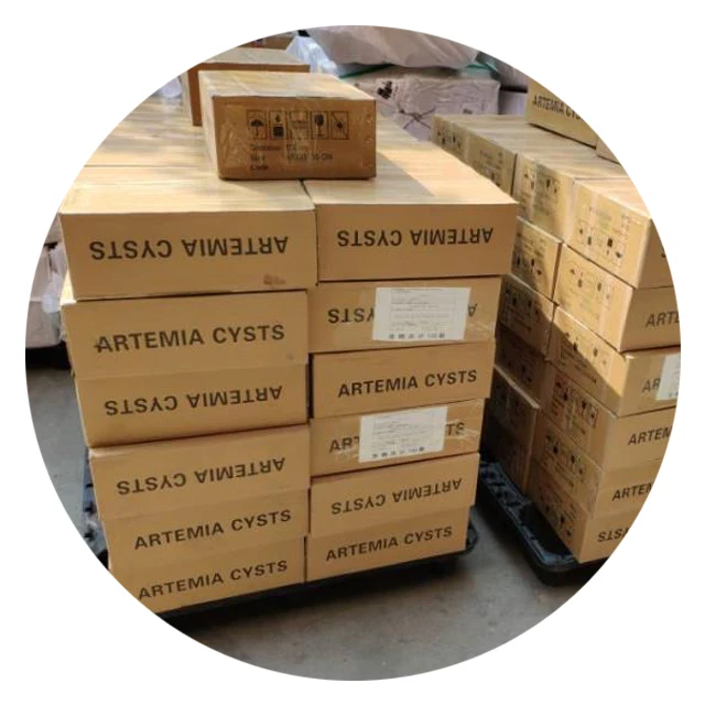 High hatchability 90% Artemia Cysts brine shrimp eggs China factory wholesale for prawns and fish juveniles