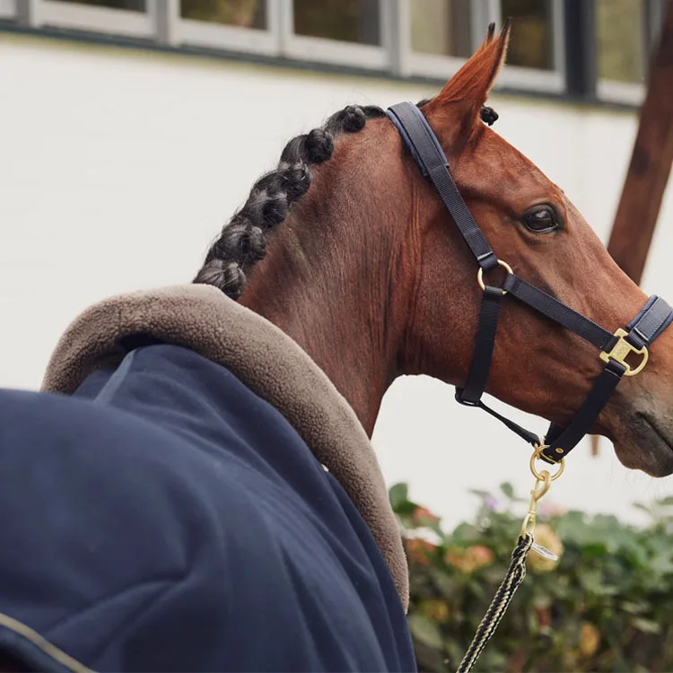 Winter Equestrian Outdoor Sports Sweat-Absorbing Thick Wool Windproof Horse Fleece Rug