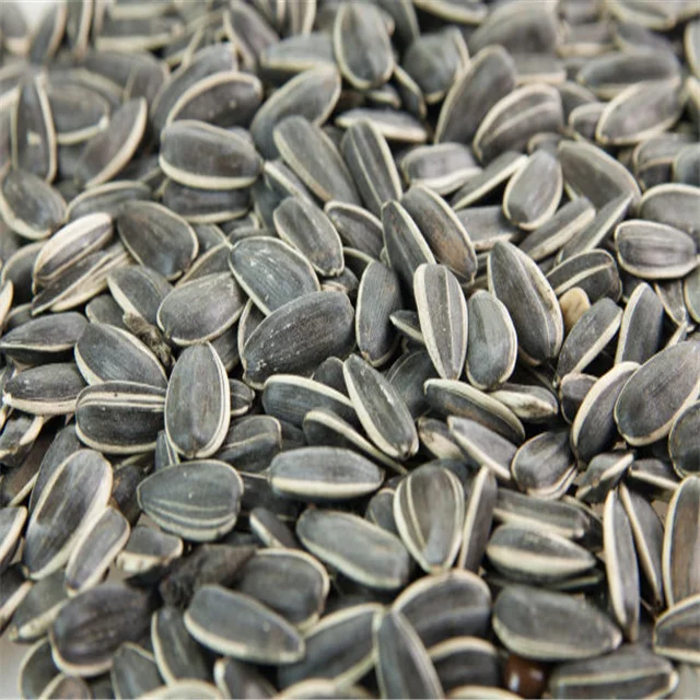 Wholesale raw low price raw sunflower seeds hulled organic