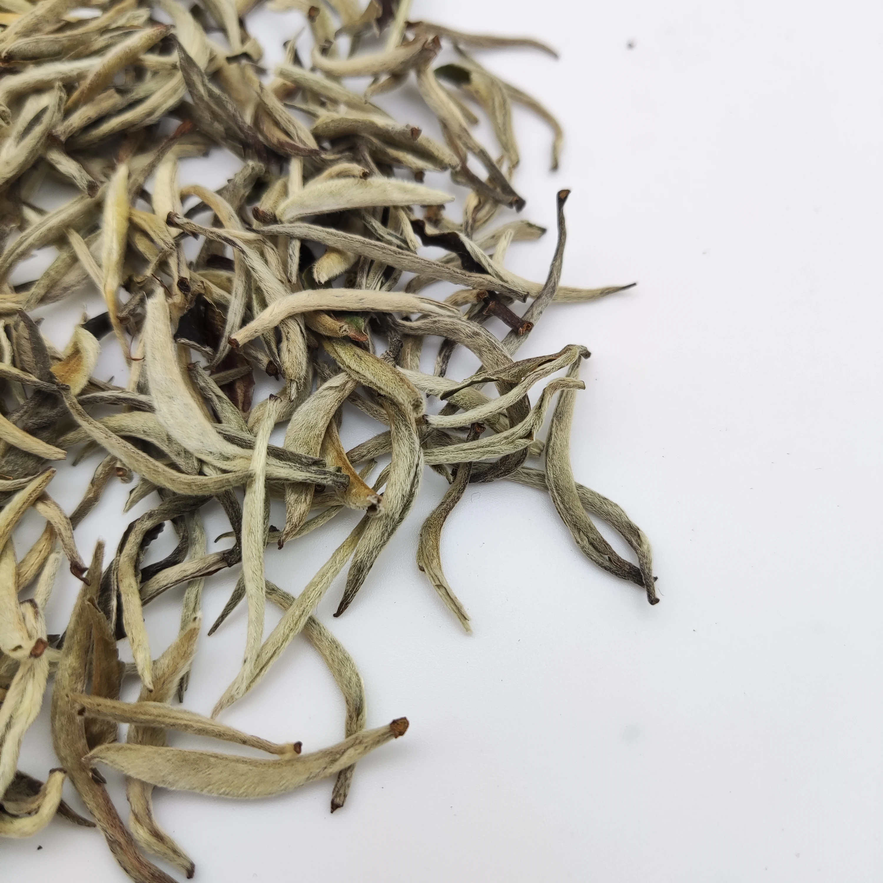 Pravite Label Famous Chinese EU Standard Bai Hao Yin Zhen White Tea Silver Needle White Tea