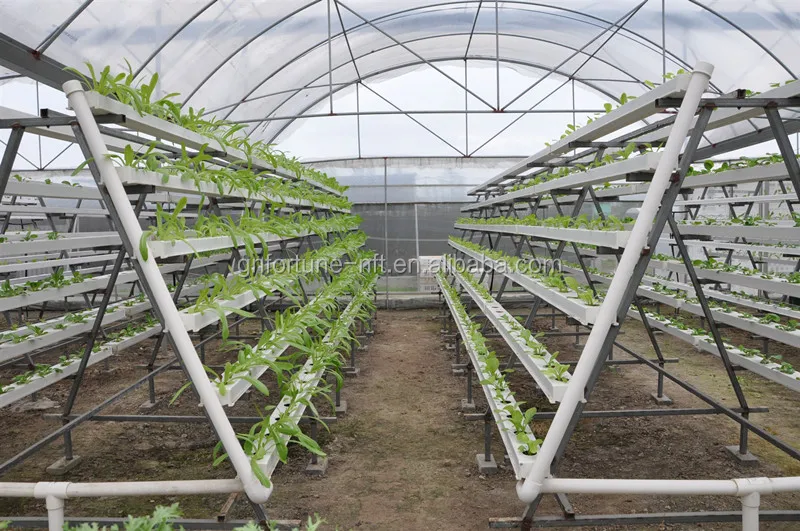 Хит продаж 2022 новый стиль Гидропоника для выращивания огурцов система каналов гидропоники NFT