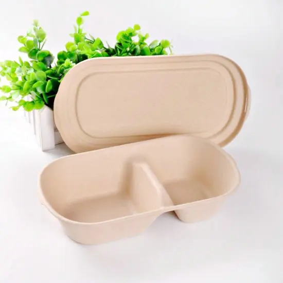High Quality Wholesale Biodegradable Sugarcane Disposable Plates Lunch Trays Multi Compartments Bagasse Plate