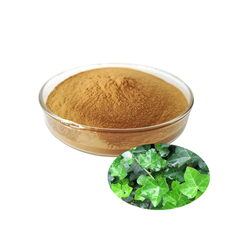 Natural Pure Ivy leaf extract total saponin 5% 10% 20%