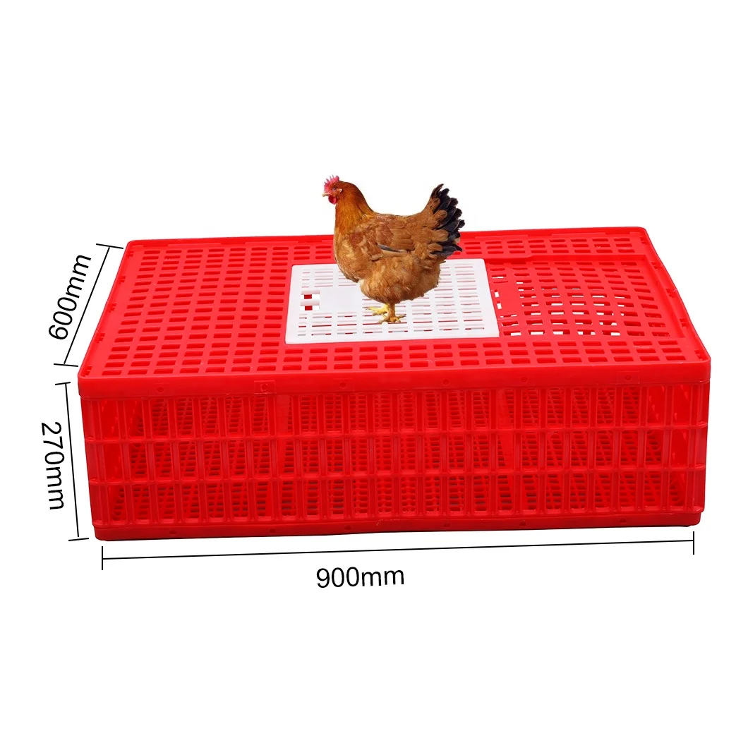 Easy grabbing 16 chickens hold large 900*600*270 mm disassembled foldable plastic poultry crate / transport coop