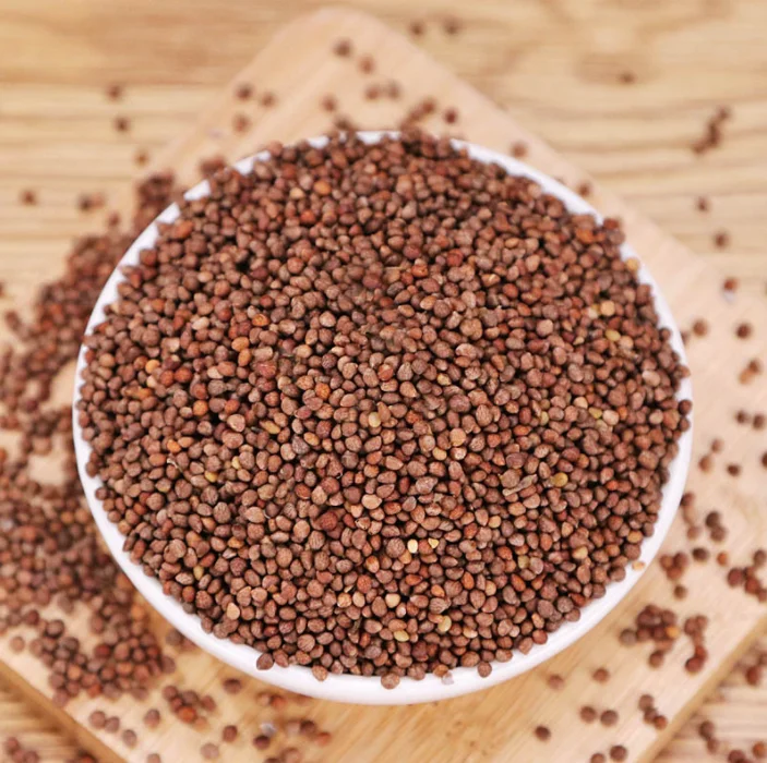 Premium perilla seeds Dried perilla seeds  seasoning extract oil or make fillings spices supply